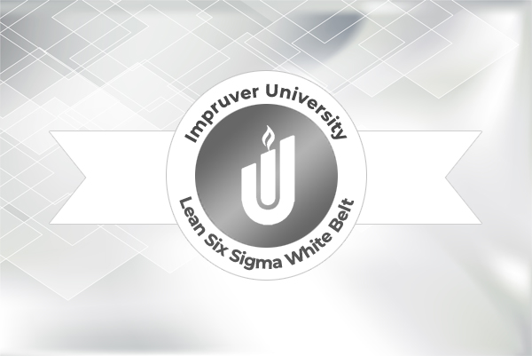 Impruver University Belts Program Graphics - White belt