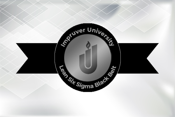 Lean Six Sigma Black Belt - Impruver University